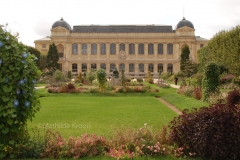 Paris - Jardin des plantes