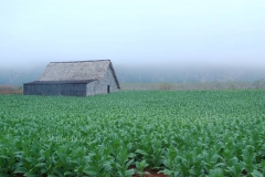 Cuba - Vinales 2