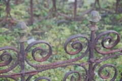 Weesp-Landscroon 4