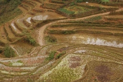 Vietnam Sapa 4