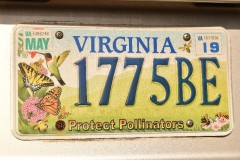 Washington  DC, license plate Virginia