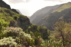La Gomera B