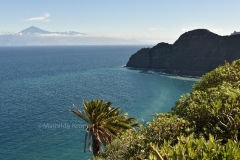 La Gomera D