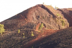 La Palma E