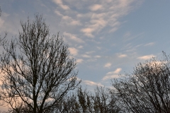 Normandië 2