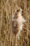 London the Marshes 3