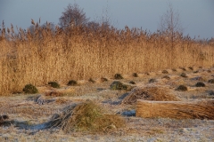 De Wieden 1