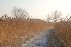 De Wieden 4