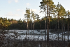 Hilversumse Wasmeer 2