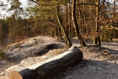 Hilversumse Wasmeer 3