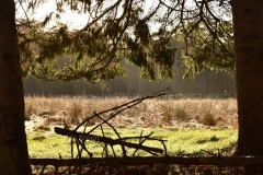 Hilversumse Wasmeer 6
