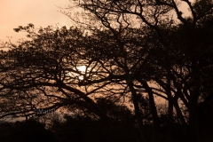 Zuid-Afrika 12