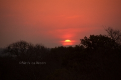 Zuid-Afrika 3