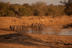 Zuid-Afrika 4