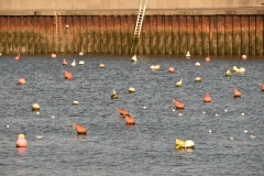 Port-en-Bessin 2