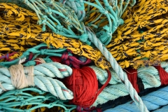 Port-en-Bessin 6
